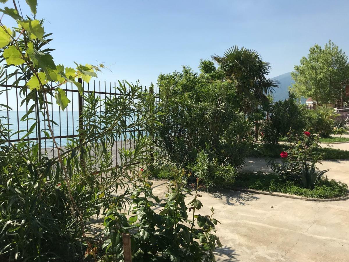 Davel Otel Gagra Dış mekan fotoğraf